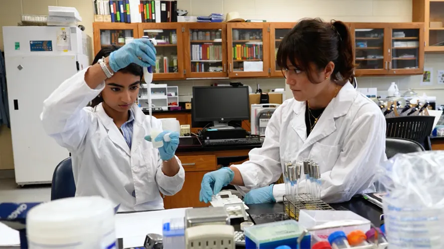 Two Fordham students in a lab studying Parkinson's disease by using fruit flies