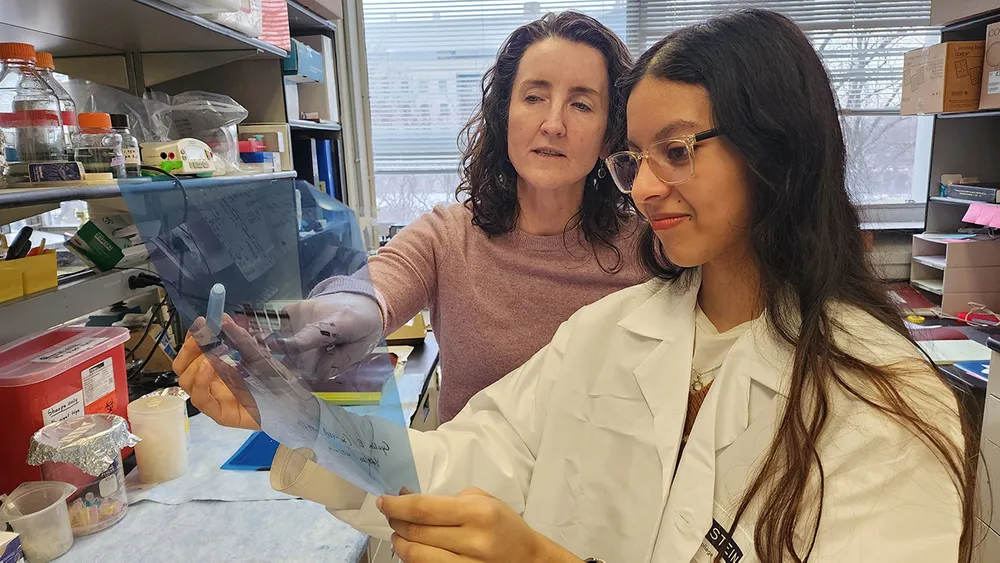 Diana Plaza conducts research at Albert Einstein College of Medicine with Hayley McDaid, a professor at the college and her advisor. Photo by Kristina Ames