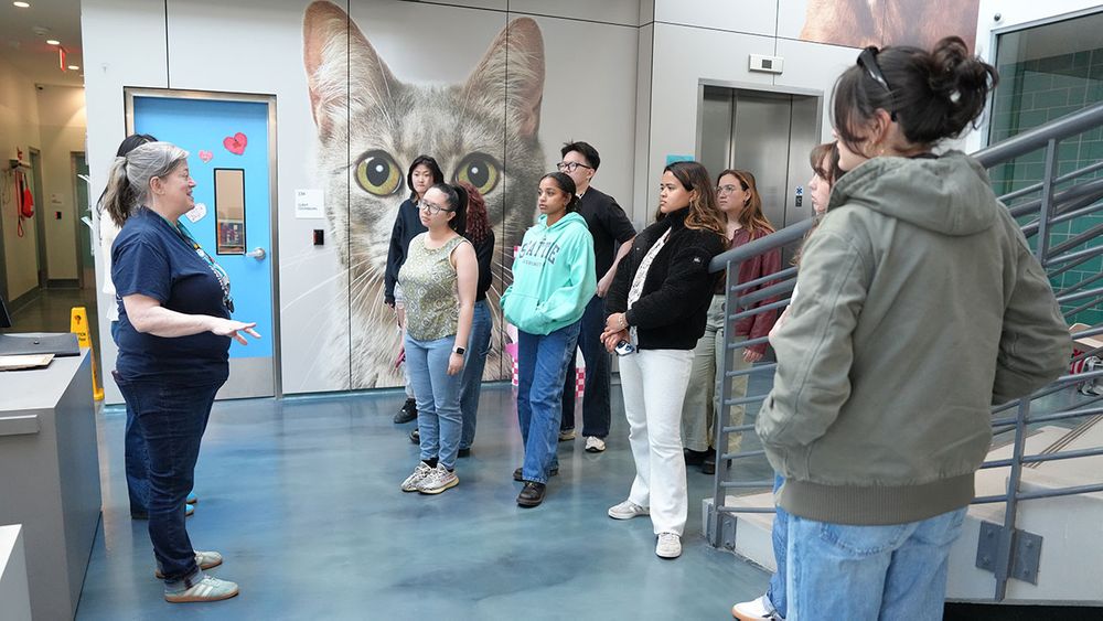 Katy Hansen shows Gabelli School students around the organization's Queens facility.