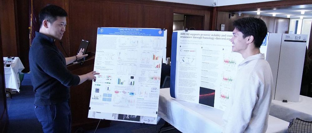 Christian Chung and Michael Kong presenting their research