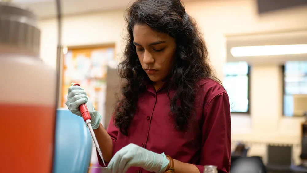 Rebecca Tejiram works in the lab of the Silvia Finnemann, Ph.D.