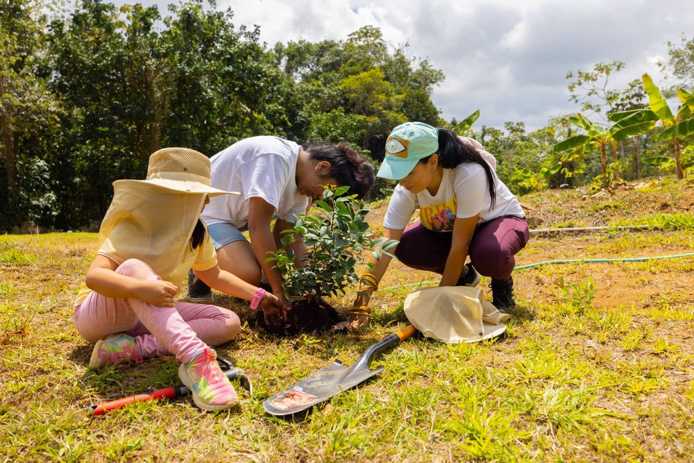 students gardening