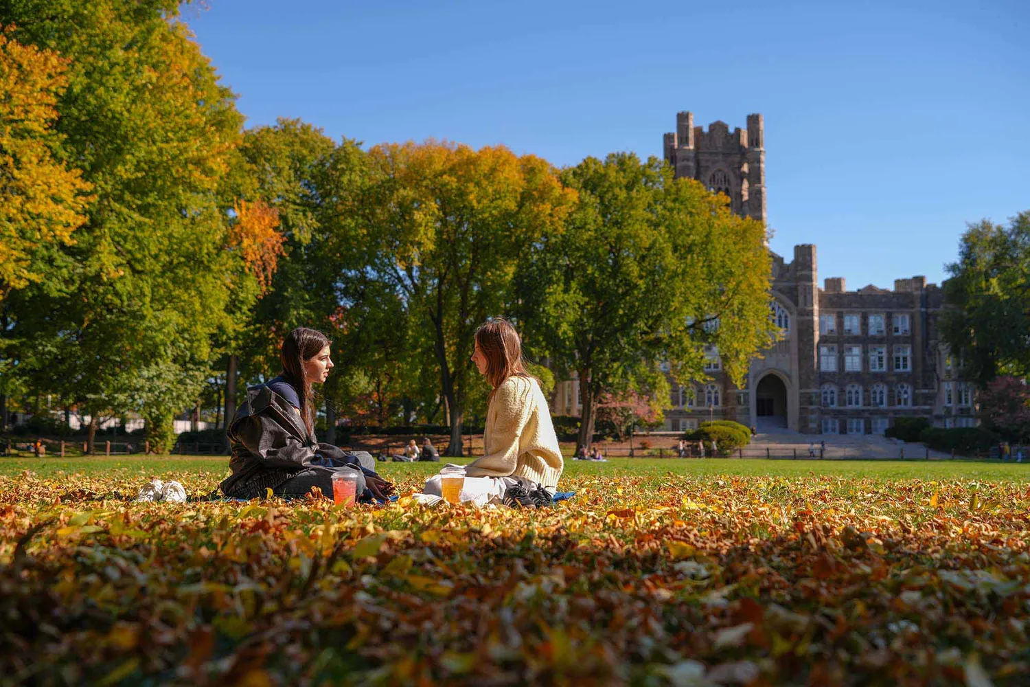 Undergraduate Admission Fordham
