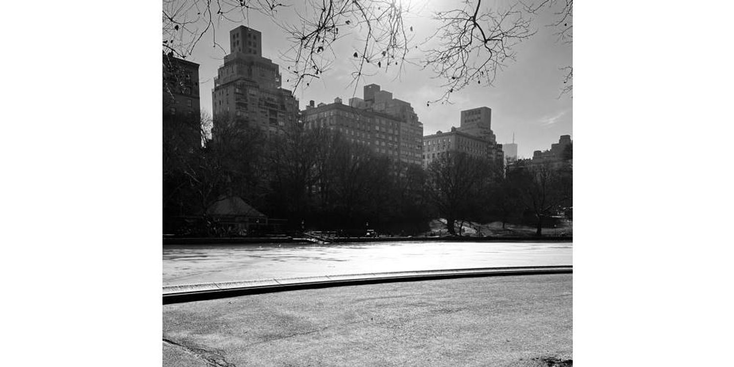 CAS Course Insights | Fordham