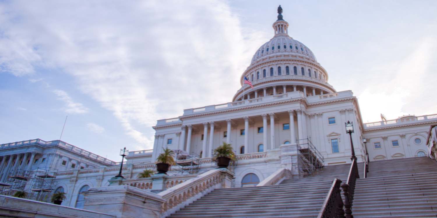 The United States Capitol building in Washington, D.C., viewed from the base of the grand marble steps under a bright, slightly cloudy sky.