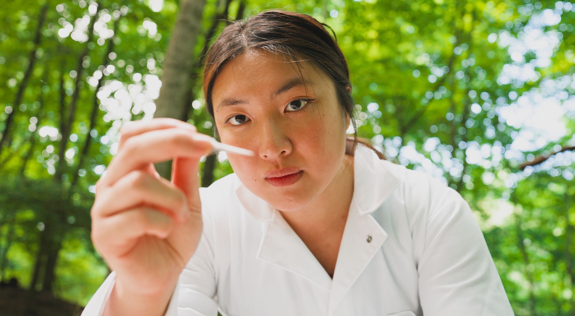 A student studying the Asian longhorned tick through the summer research program at the Calder Center