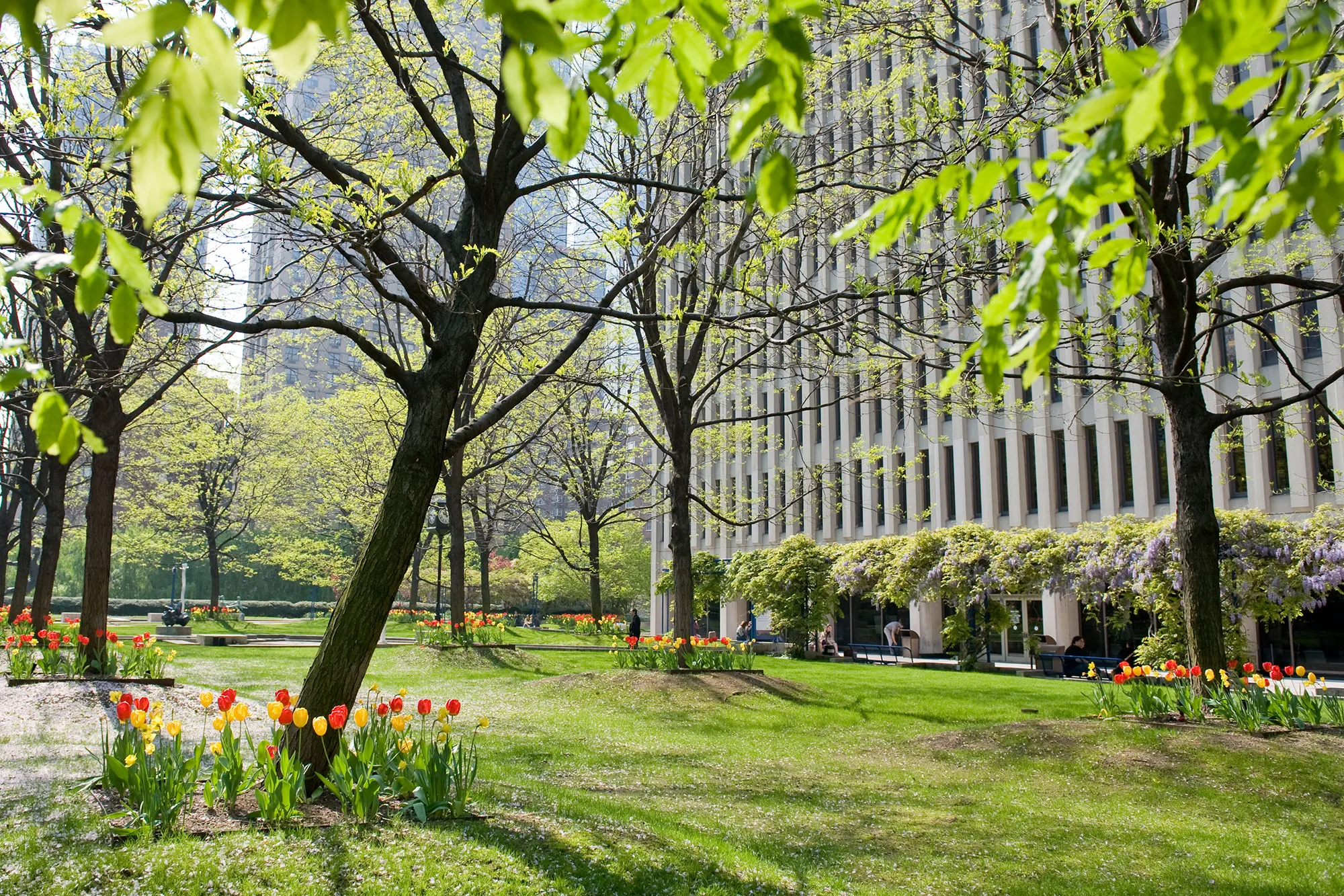 Lincoln Center Lowenstein Hall in the Spring.