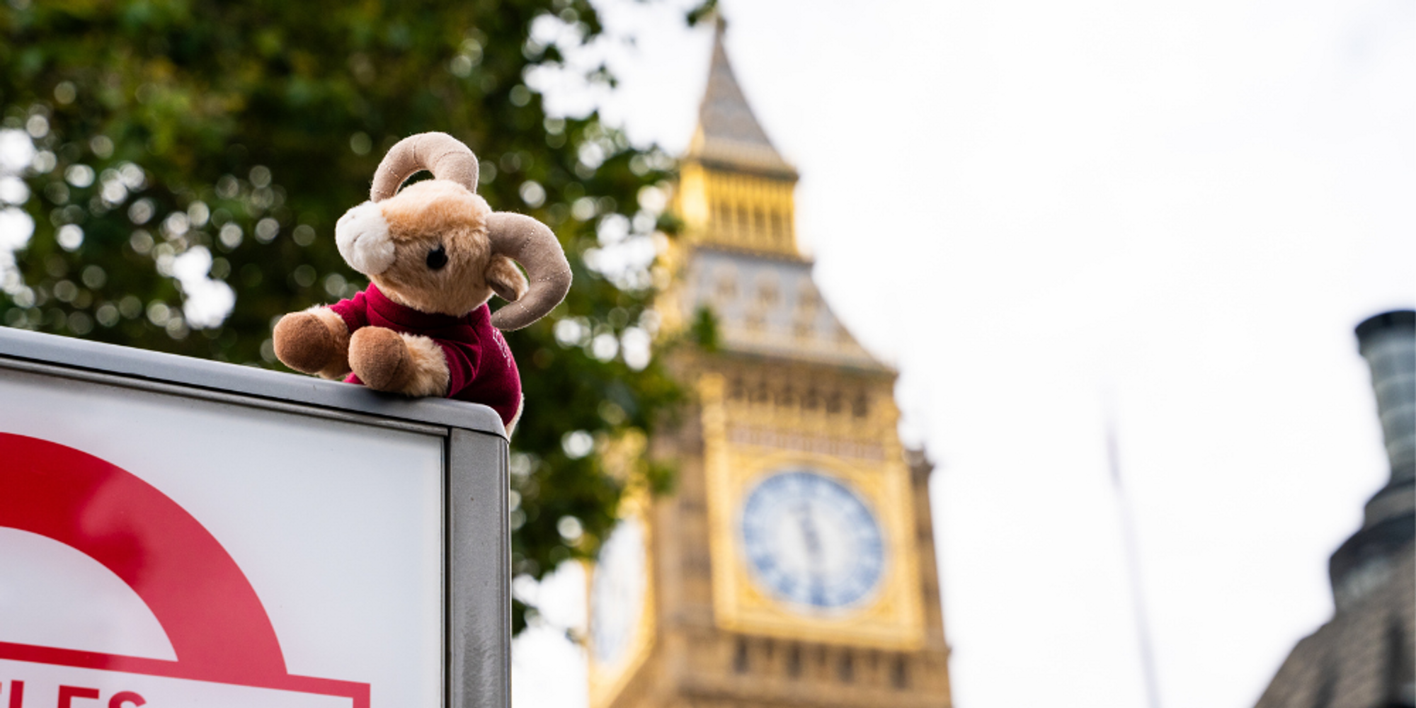 a stuffed toy ram with London's Big Ben in the background