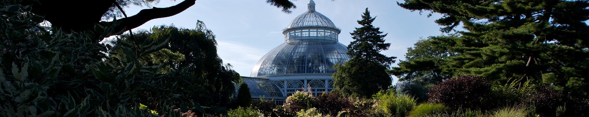 Image of the Botanical Gardens