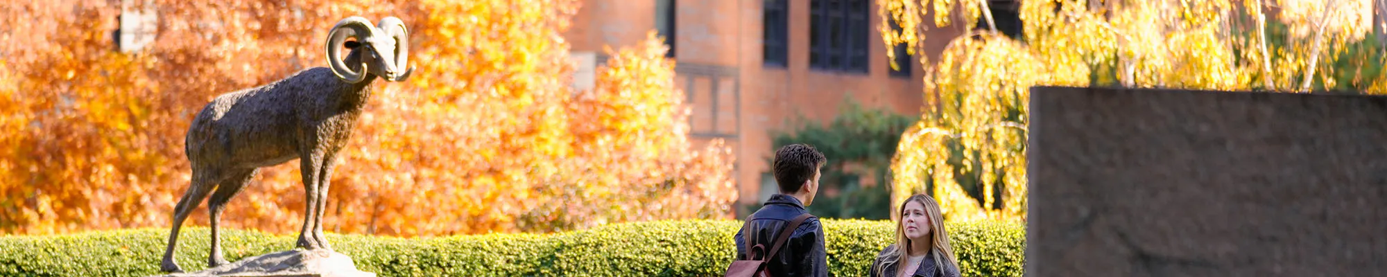Students talking on the Lincoln Center Campus in the fall