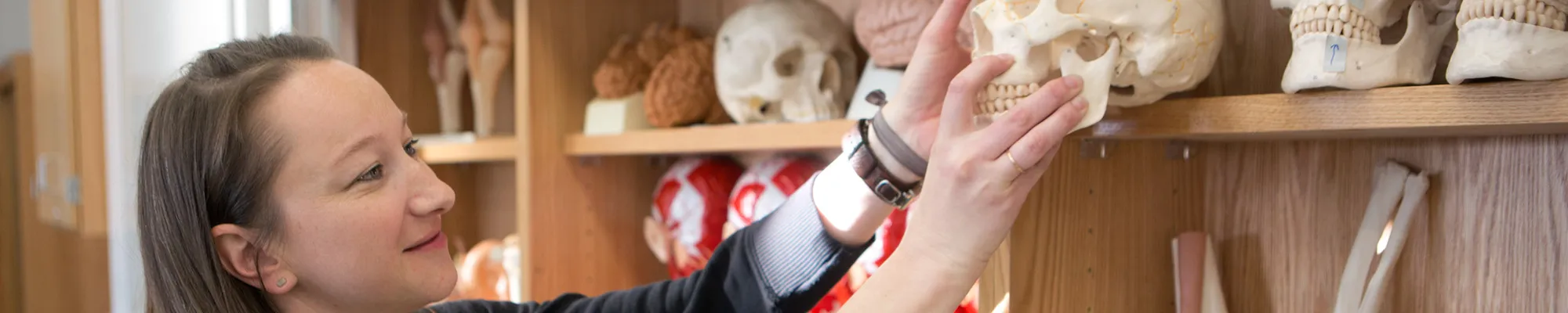 Female student evaluating a skull in biology classroom