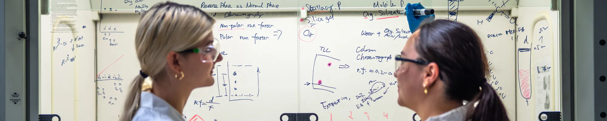 Two science students working out a problem on a white board