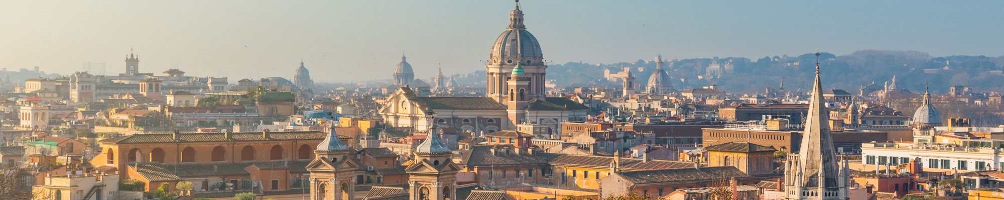 A cropped photo of the Rome skyline