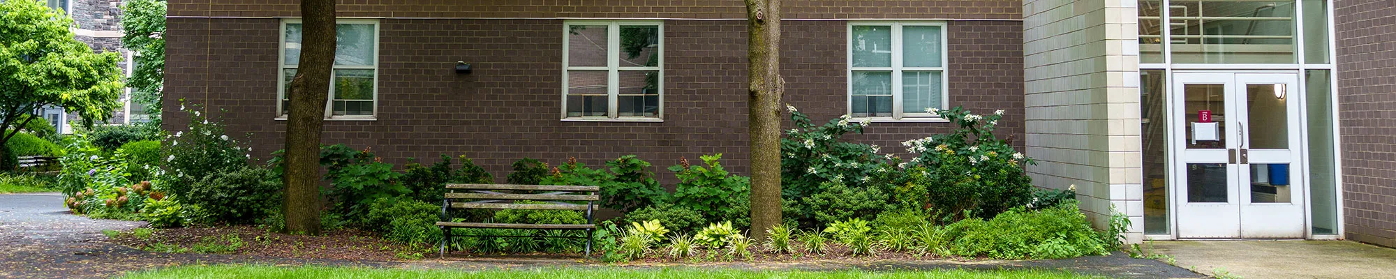 Bench and green space outside the entrance to Tierney Hall