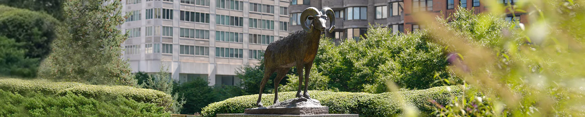 Fordham Gabelli Ram Banner