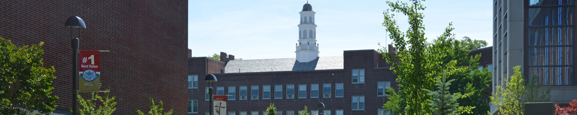 Molloy University's campus