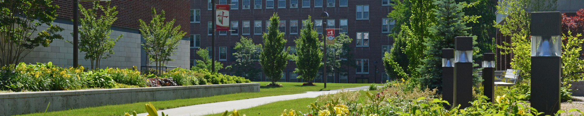 shot of molloy college's campus. there is lots of greenery and flowers. it is a sunny day.