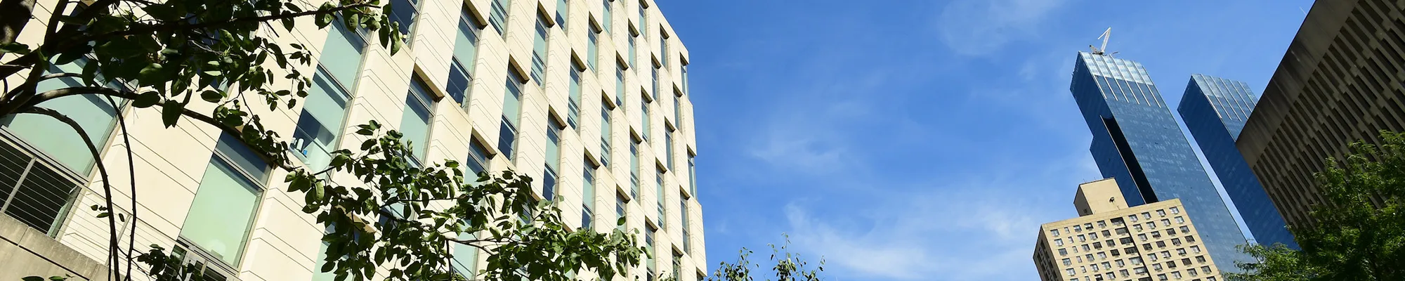 A blue sky with a buildings to the left and right.