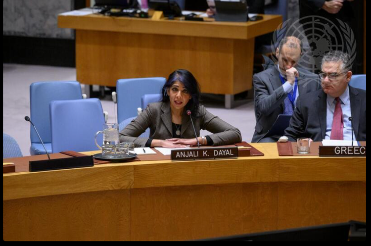Professor Anajali Dayal at the United Nations