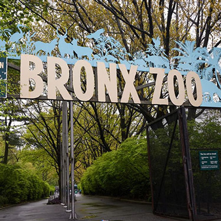 Entrance of the Bronx Zoo