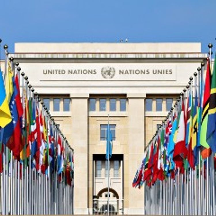 MS in Humanitarian Studies - Flags at UN