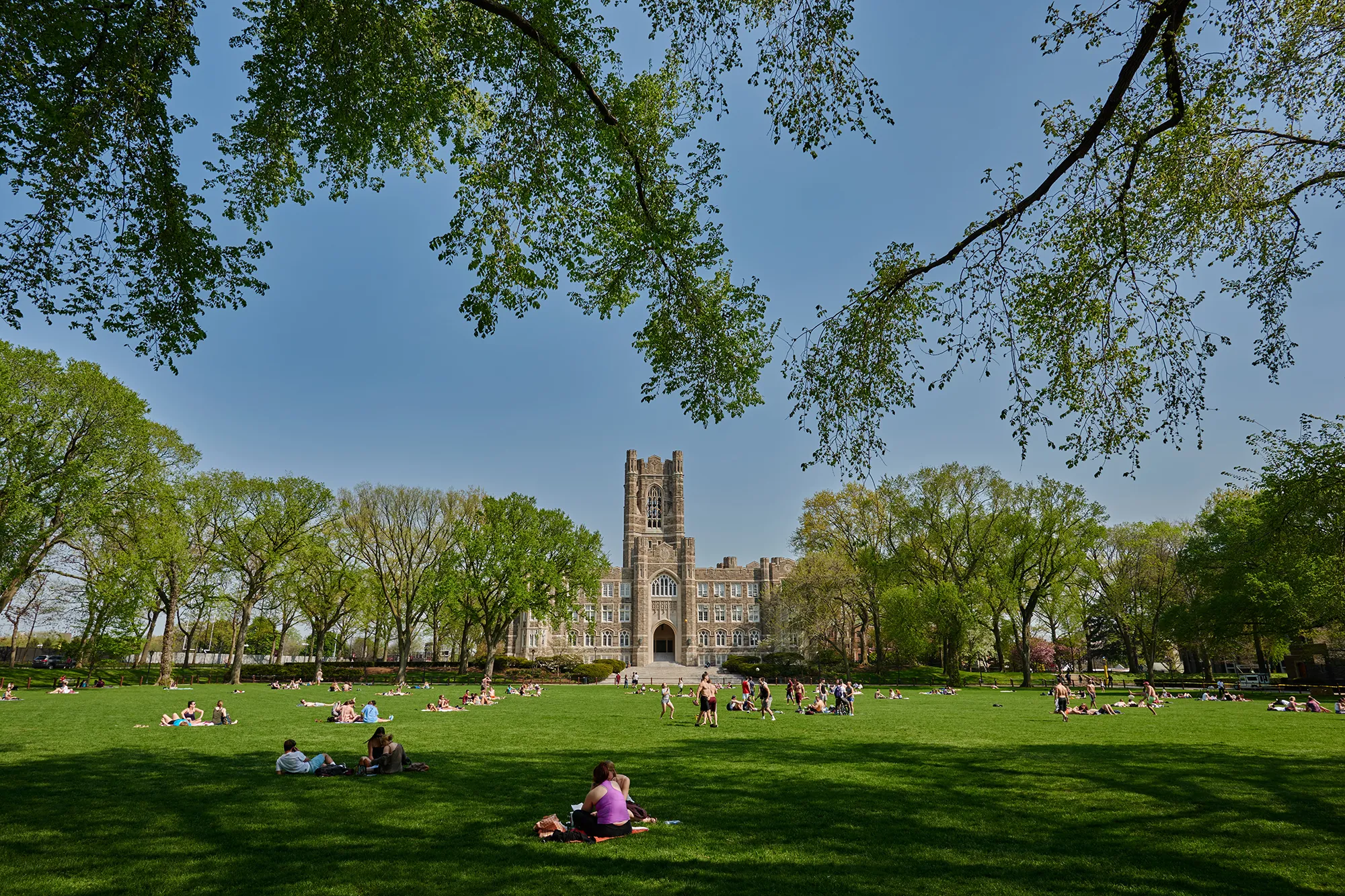 Wide shot of Edwards parade, two tree branches in fore front, students hanging out on grass.