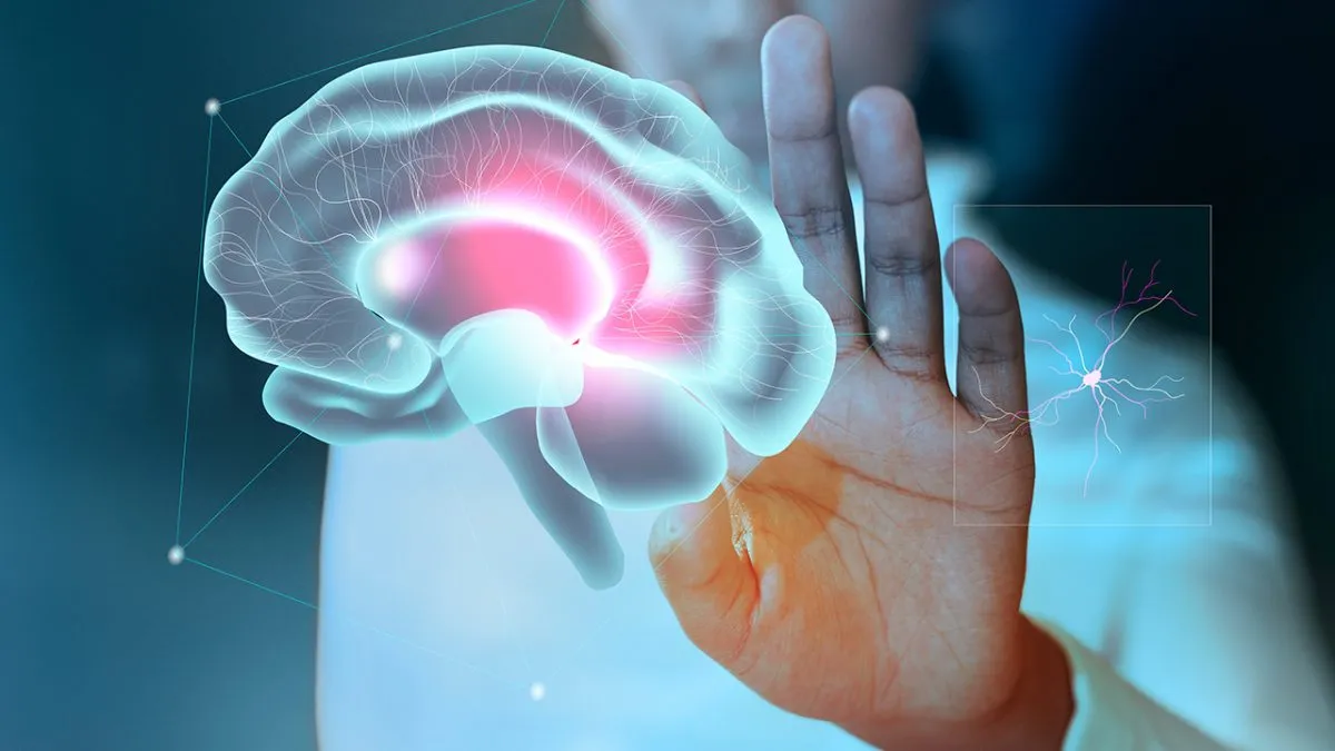 A hand touches a screen with the outline of a human brain illuminated on it