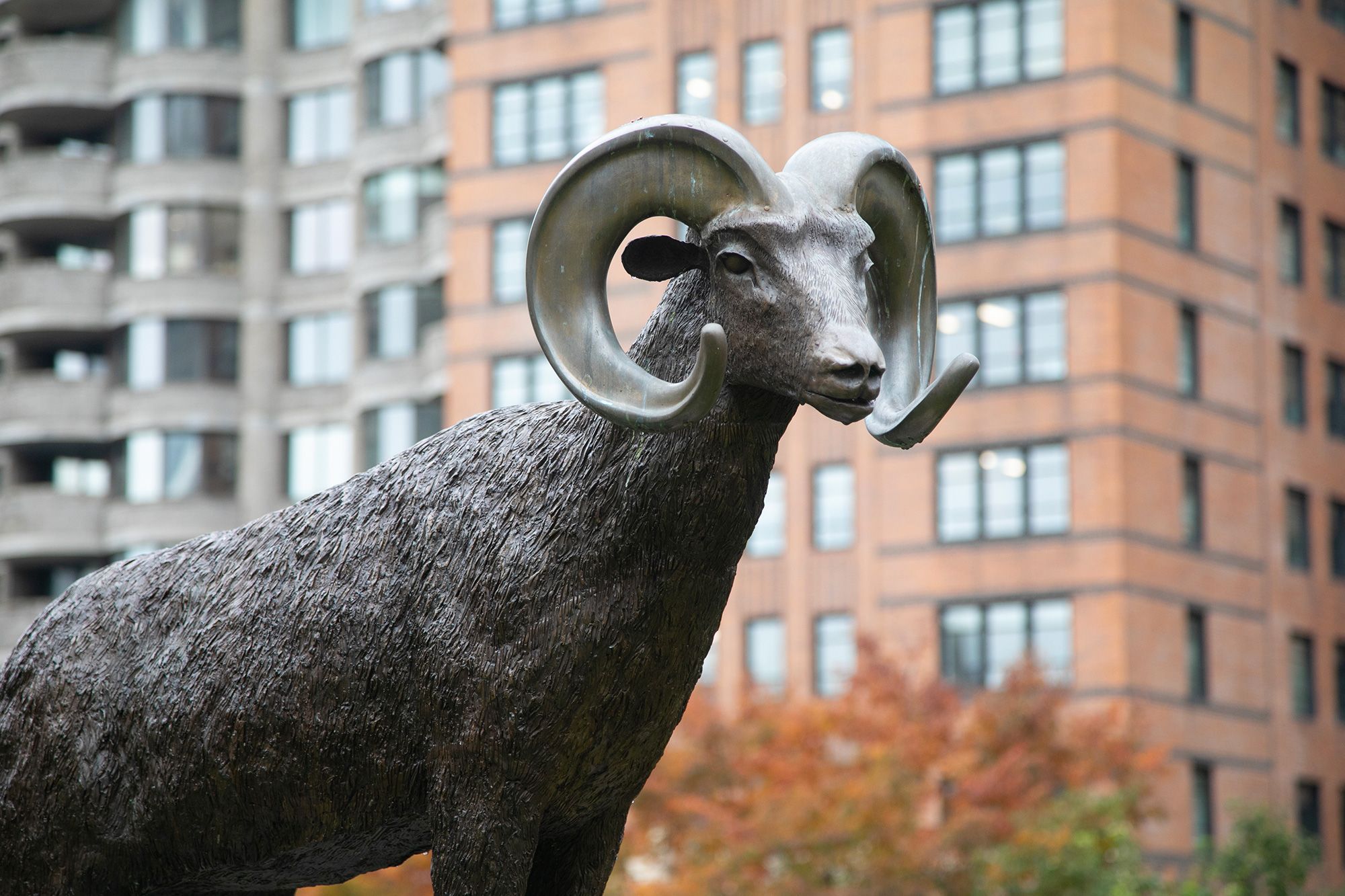 Lincoln Center Ram Statue.