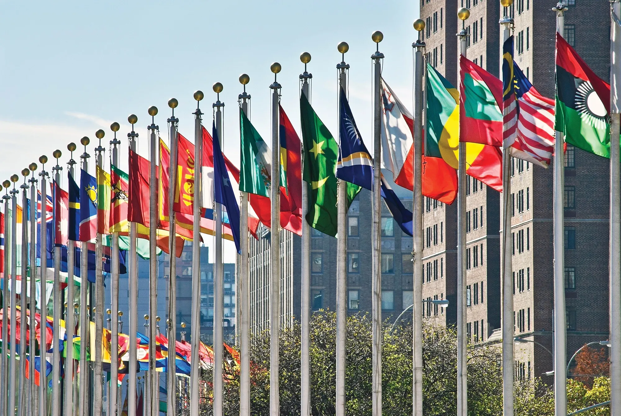 Flags at the UN