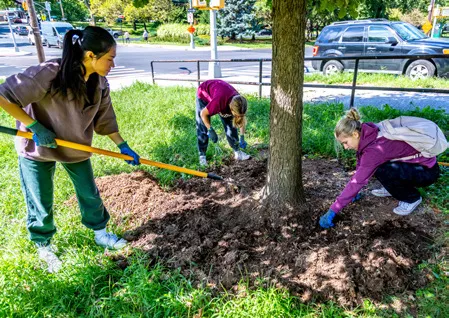 CM Brochure - Volunteers