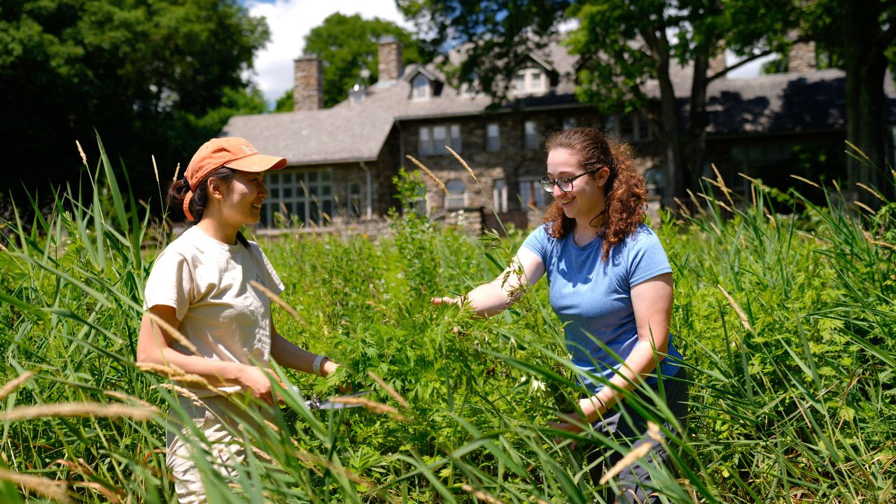 Chomri Khayi is creating a land management plan for the 113-acre research station in Armonk, New York. Photo: Hector Martinez