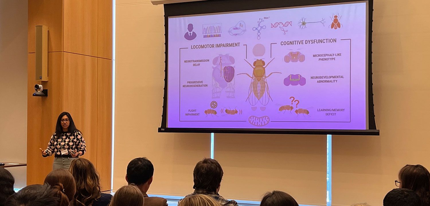 Saathvika Rajamani 3MT Presentation 2025