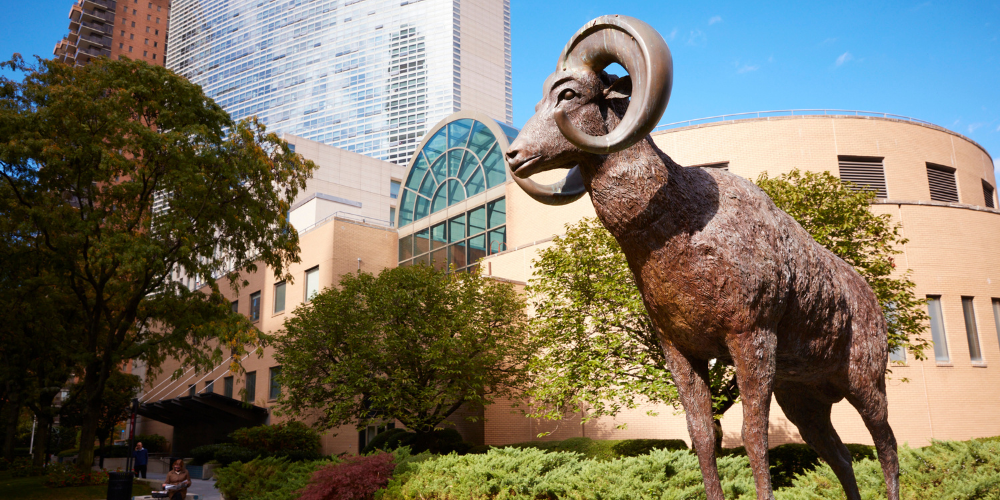 courtyard of fordham lincoln center campus. a statue of a ram is in the foreground.