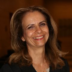 Shlomit Yanisky-Ravid